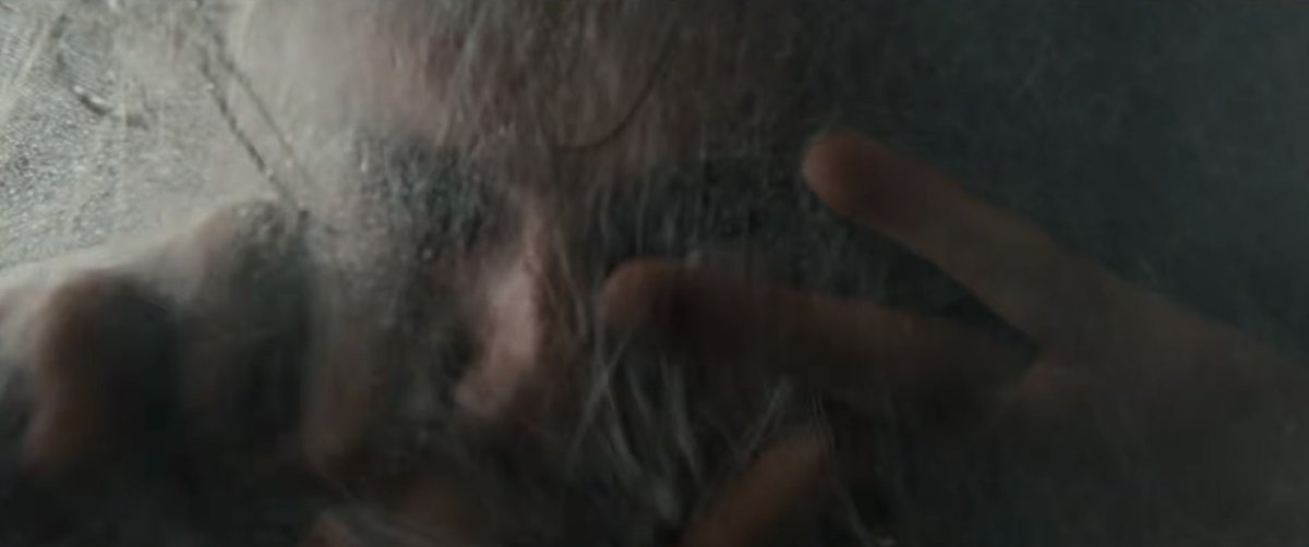 cosmic_marvel's tweet image. “Spiders have three lifecycles. When between cycles, it can leave the spider vulnerable to threats. And for those spiders who make it through... it amounts to a kind of rebirth.”

#SpiderManBrandNewDay