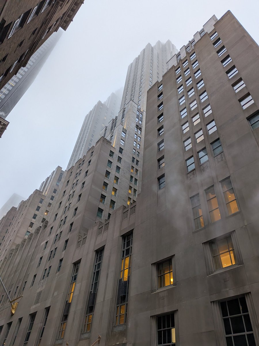 liens of new york tweet media