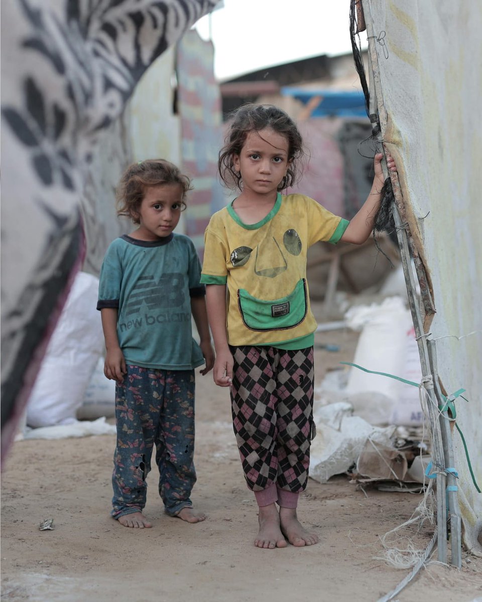 Activists Without Borders tweet media