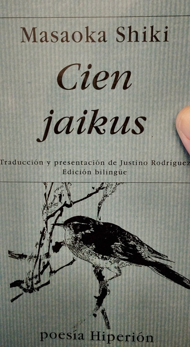 nico poblete pardo tweet media