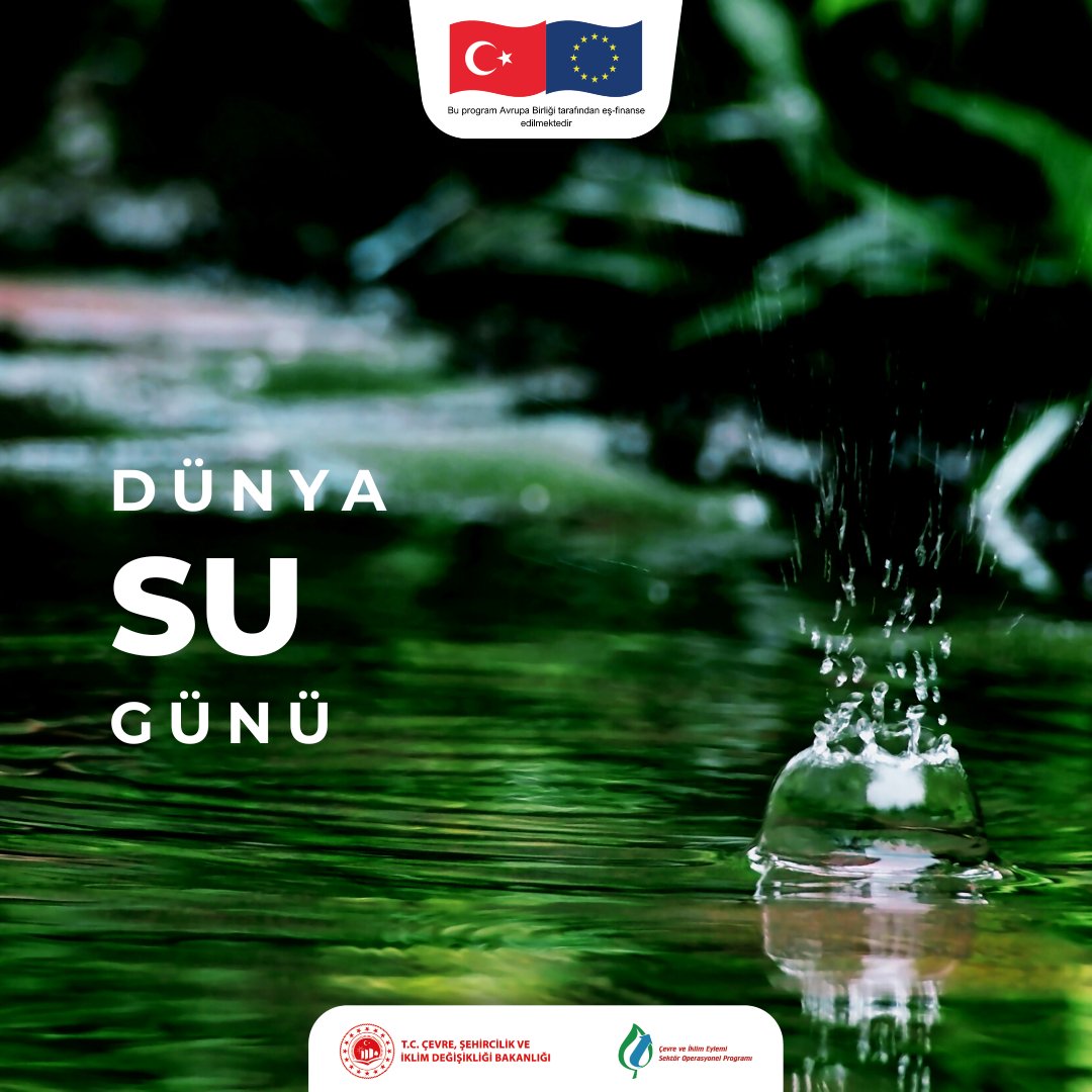 ipacevre tweet media