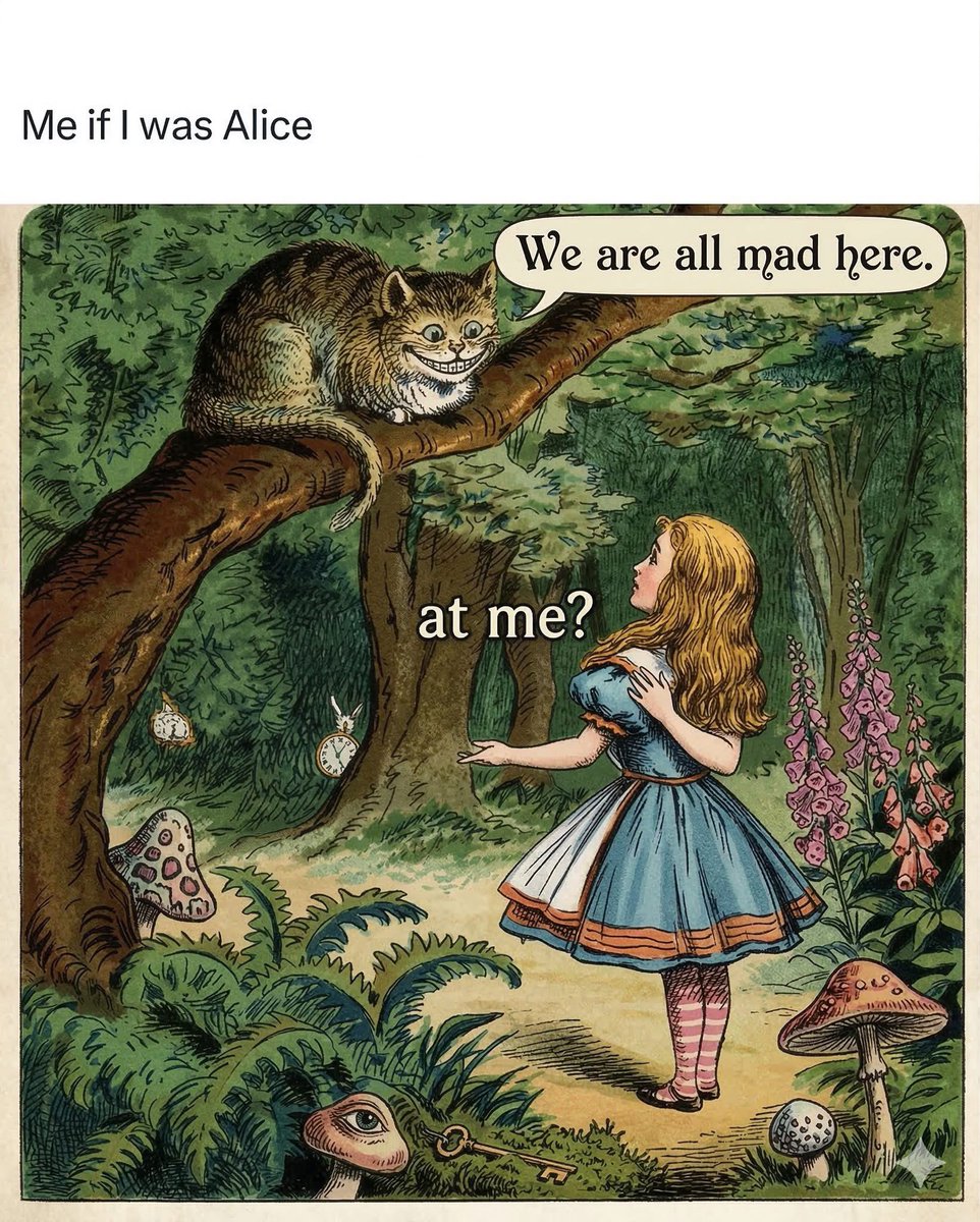 Dr. Megan Buning tweet media