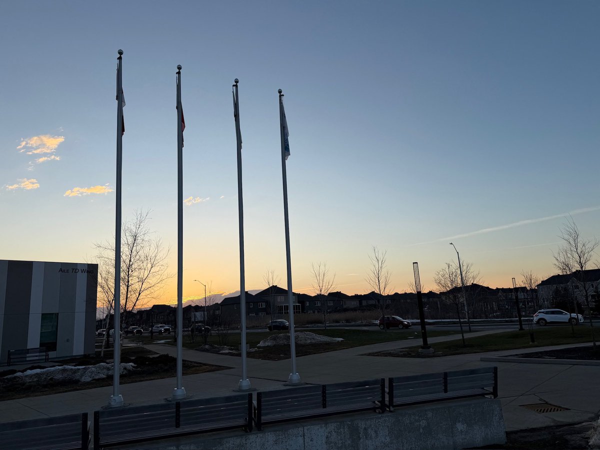 Mark Sutcliffe tweet media