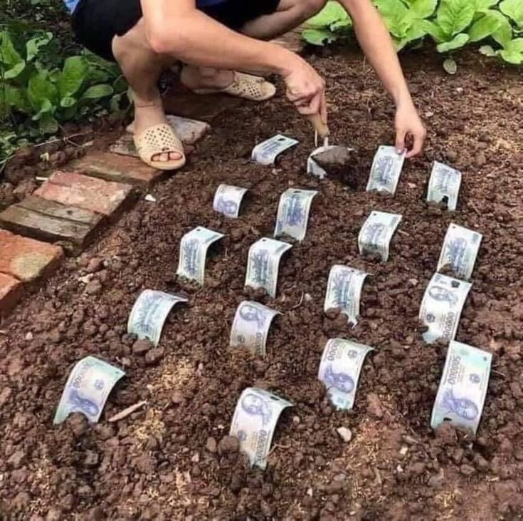 ค น ซื่ อ บื้ อ tweet media