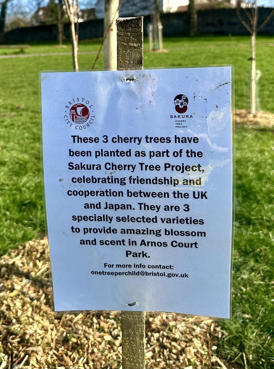 Brislington Liberal Democrats 🔶 tweet media