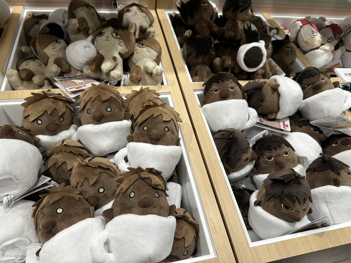 いよいよ、明日開店のTHEジャンプショップに神保町らしいラテカラーのヒナガラスたちがみちみちに並んでました…！

4月19日までジャンプNAVIでの入店予約が必要ですが、皆様のご来場お待ちしております！

ハイキュー!!グッズはこんな感じのラインナップです！
x.gd/M11dQ