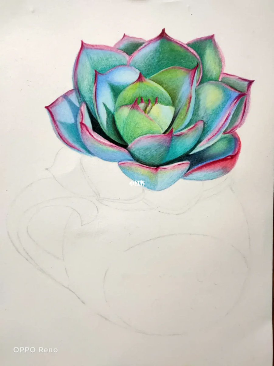 ko65761029's tweet photo. Tiny daily habits u003e big goals for interest growth! Spend 10 mins on your hobby today—doodle, play a tune, or plant a seed. Progress, not perfection. https://t.co/JbMdZ6bduQ