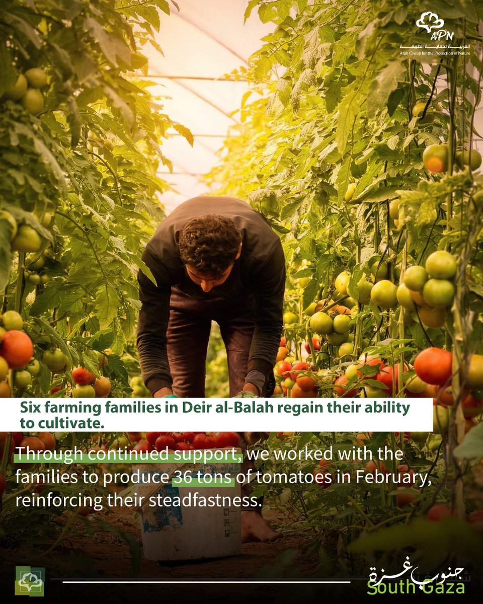 العربية لحماية الطبيعة - APN tweet media