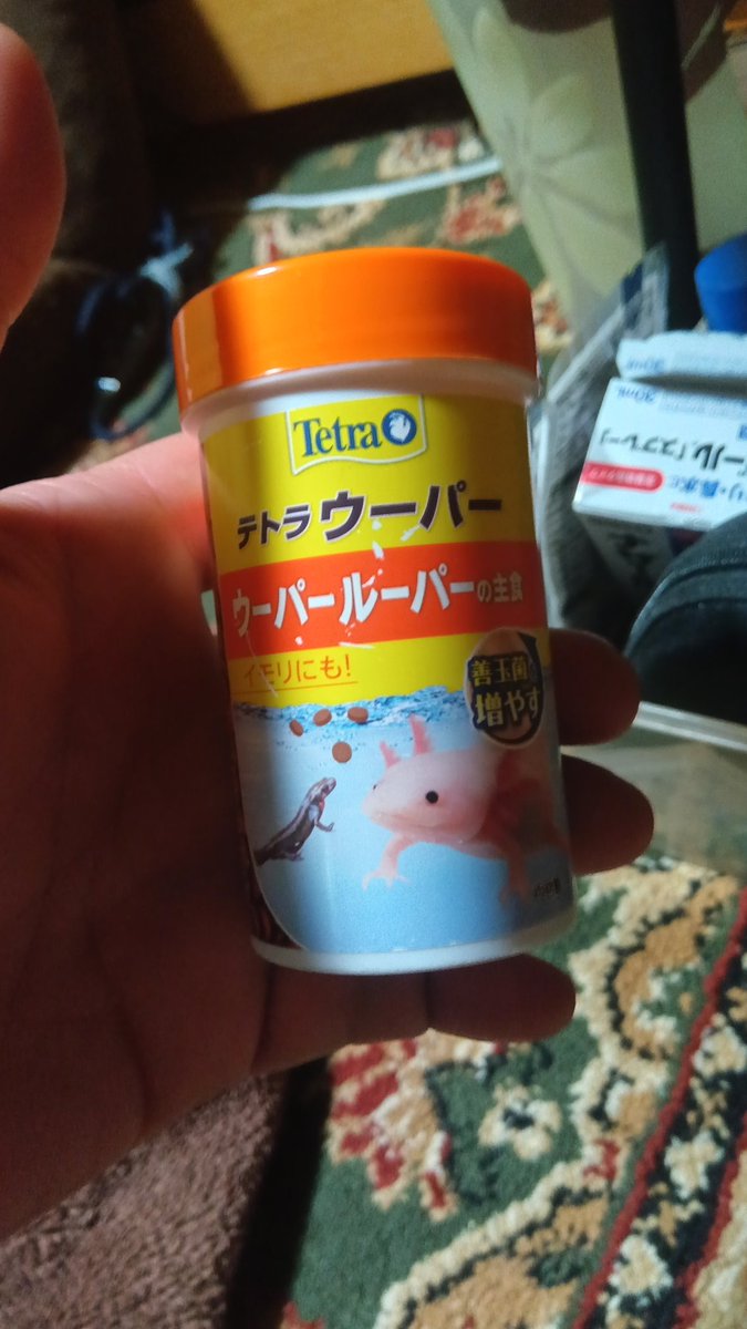 下町の岡ちゃんミカちゃん tweet media