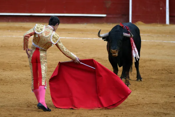 Abbas Shash tweet media