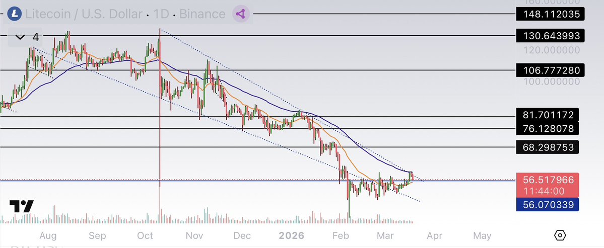 Get Rekt Dave tweet media