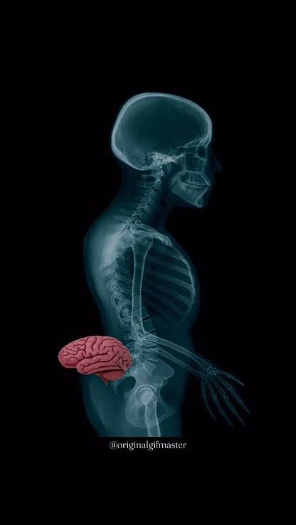 JubertaRatzmann tweet media