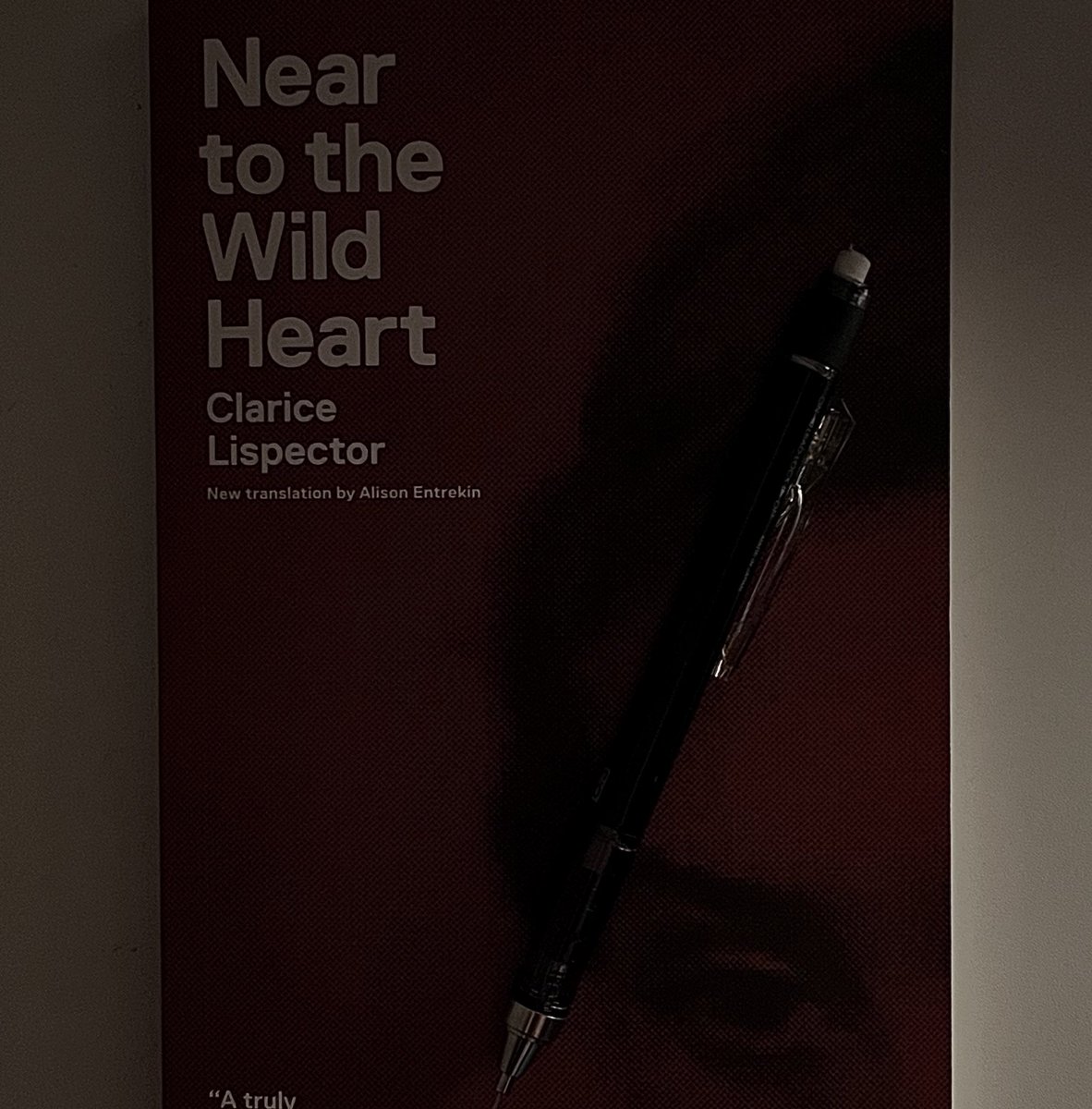 𓆝 𓆟 𓆞 tweet media