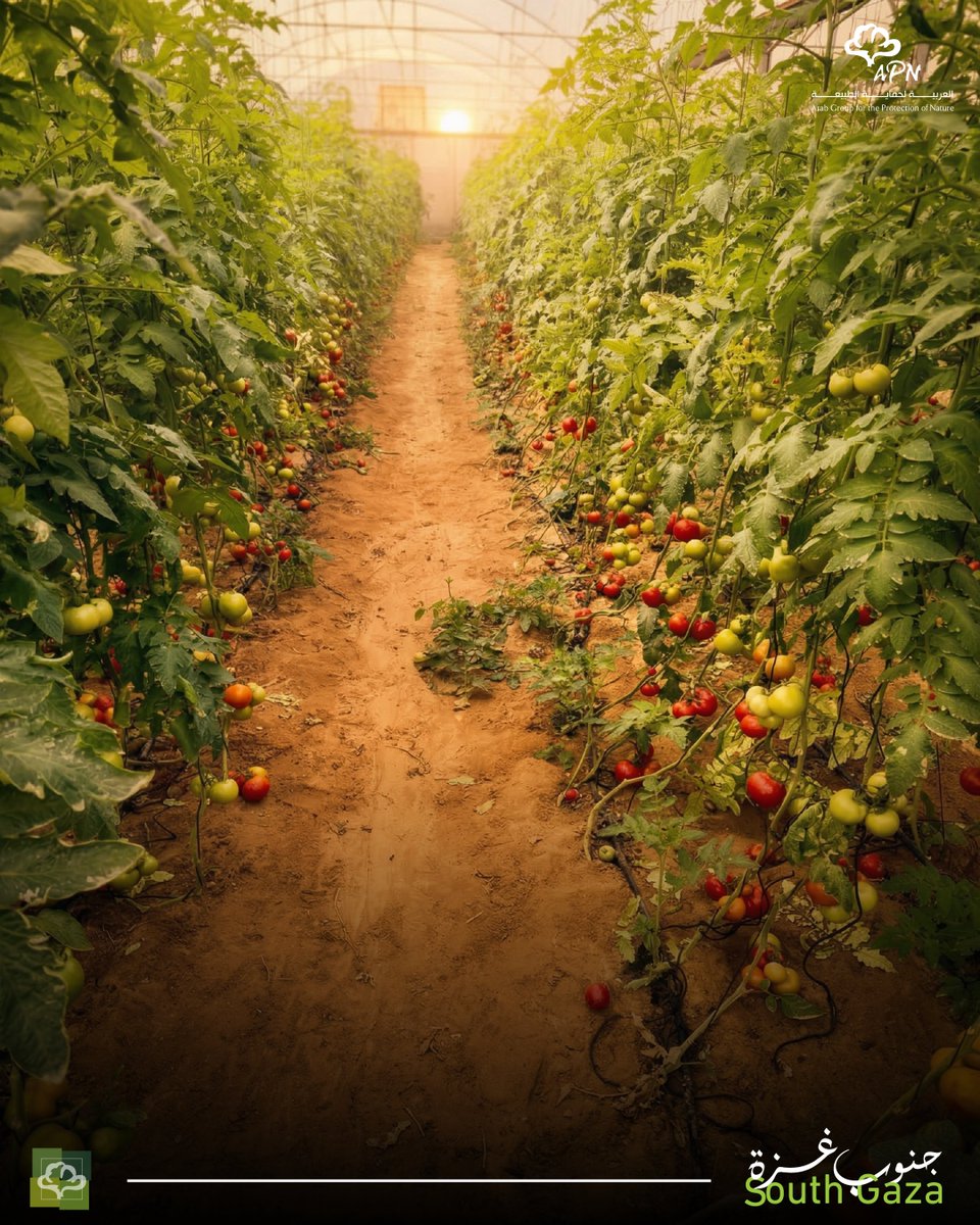 العربية لحماية الطبيعة - APN tweet media