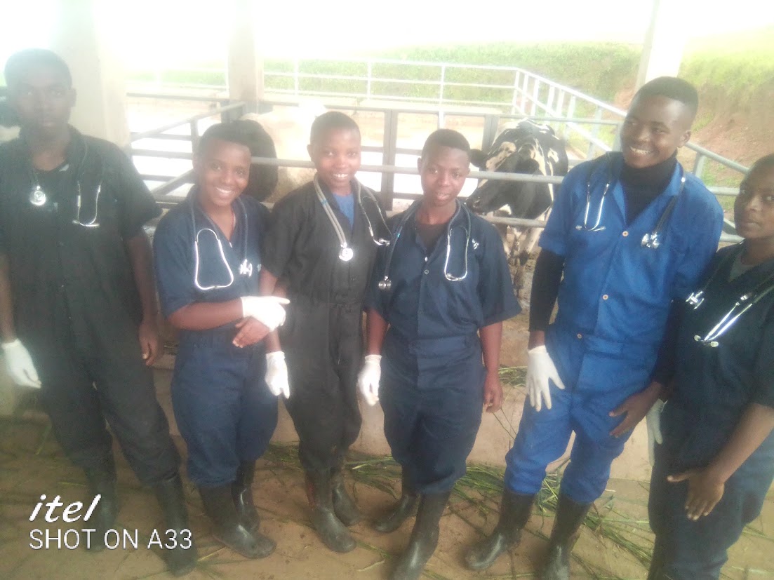 TWAGIRUMUKIZAL3's tweet photo. Veterinarians are guardians of livestock, pets, and public health. Study veterinary science and make a real impact! #VetScience #FarmSmart #TVET_Rwanda https://t.co/5qiVfKt38W