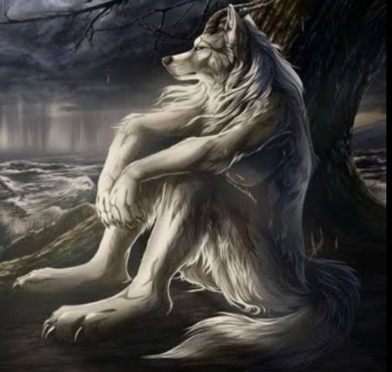 FISCH FESS 🎣 tweet media