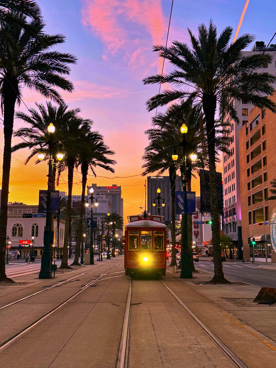 David Nola tweet media