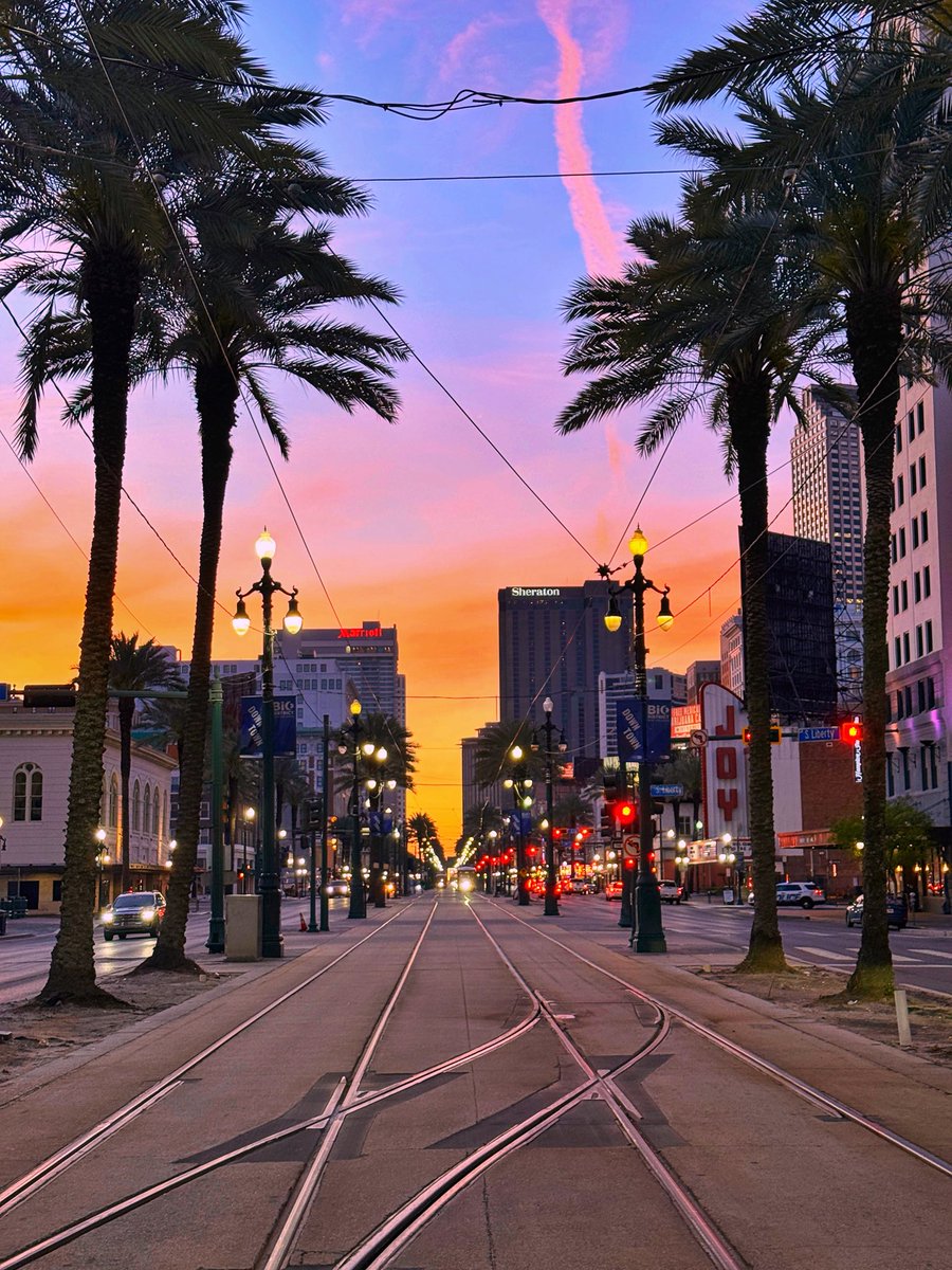 David Nola tweet media