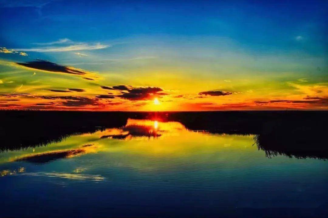 Sam Hamilton tweet media