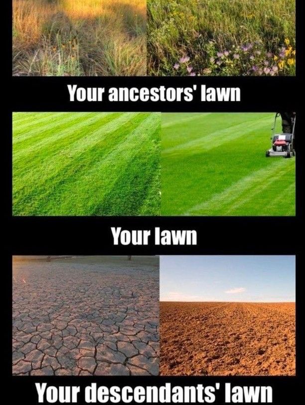 𝘤𝘢𝘣𝘪𝘯 𝘷𝘪𝘴𝘶𝘢𝘭𝘴 ❁࿐❁ tweet media