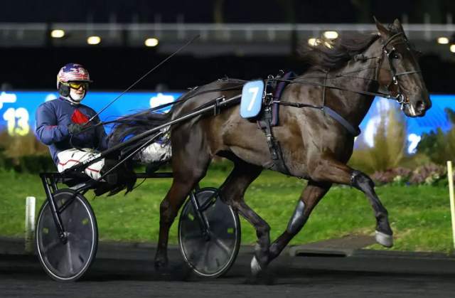 Pronosticpmu_fr's tweet photo. KELLY JANE (3 - Éric Raffin) notre favori pour le #quinté + du jour à Vire (Prix de la Ville de Vire Normandie - R1-C1 - 16 partants - Trot Attelé - 2.800 m. - Piste en sable - Corde à droite - Terrain: Bon)

Départ prévu à 13H55

https://t.co/BdcPyhOwIW https://t.co/HfADnuxFyq