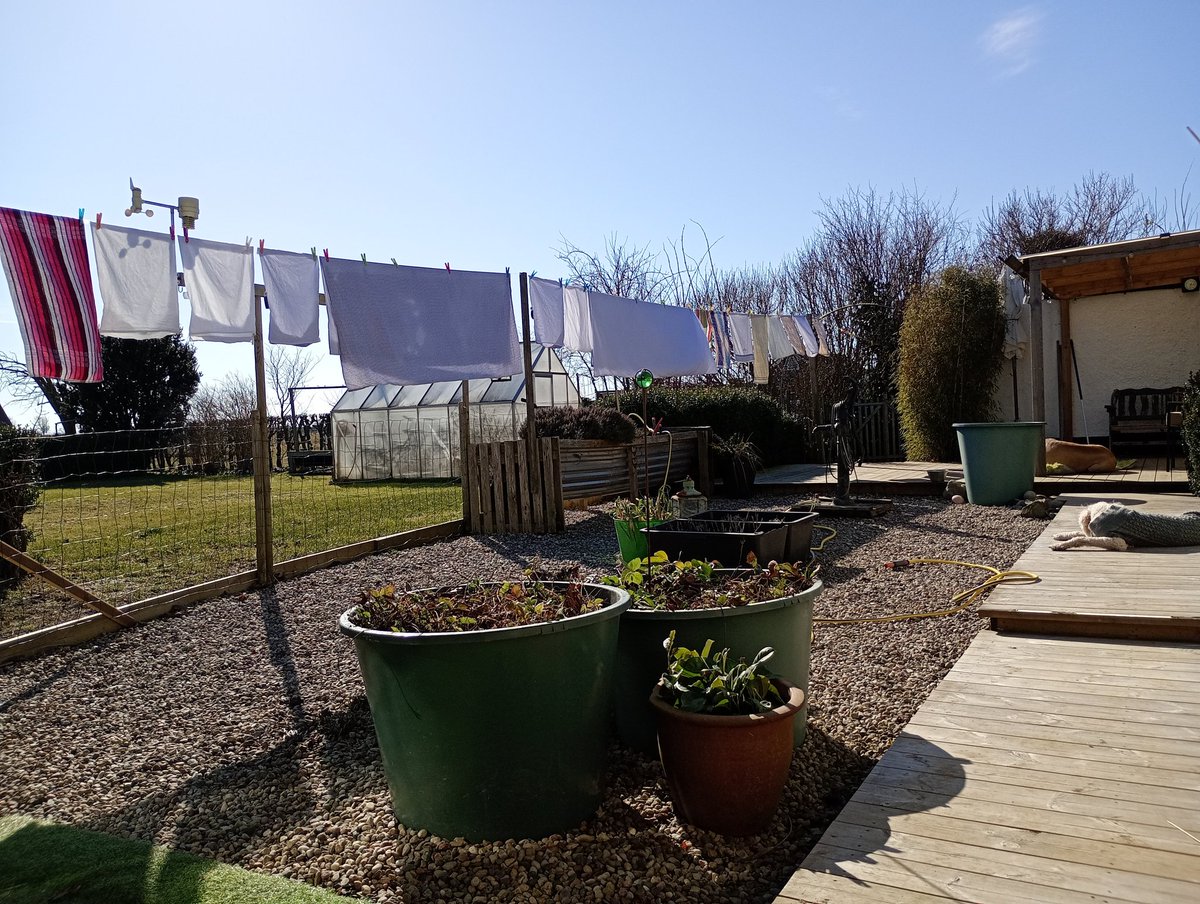 Katarina 🍄 Krusidull tweet media