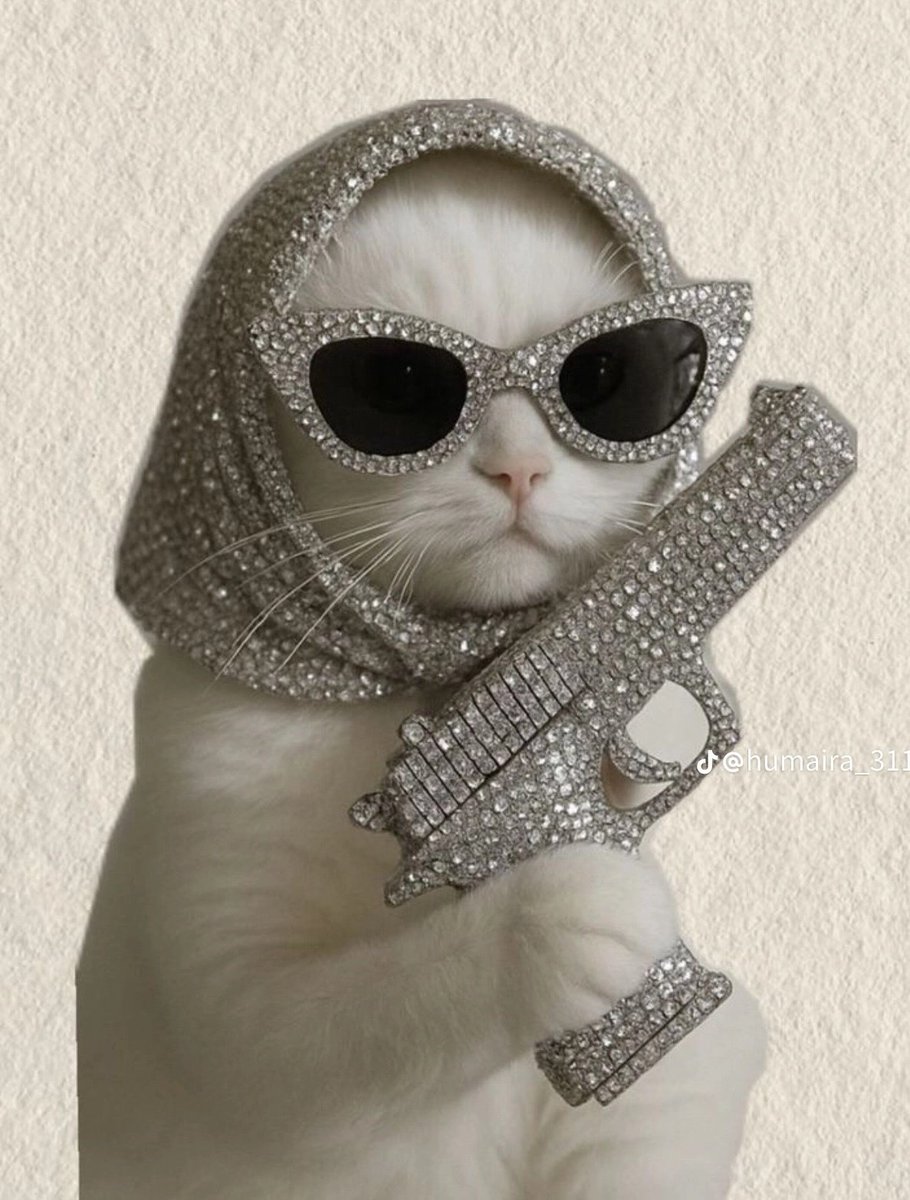 Tayyba Awan 🌸 tweet media