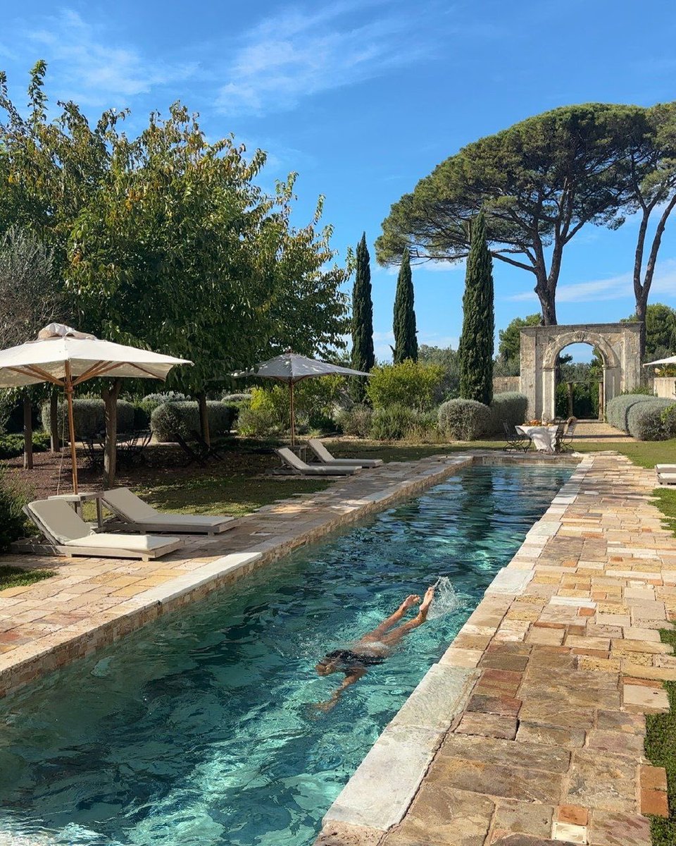 Alexander 𖤓 Nietzschean Vitalist tweet media