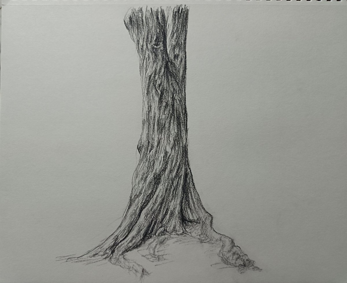 米羅羅羅 tweet media