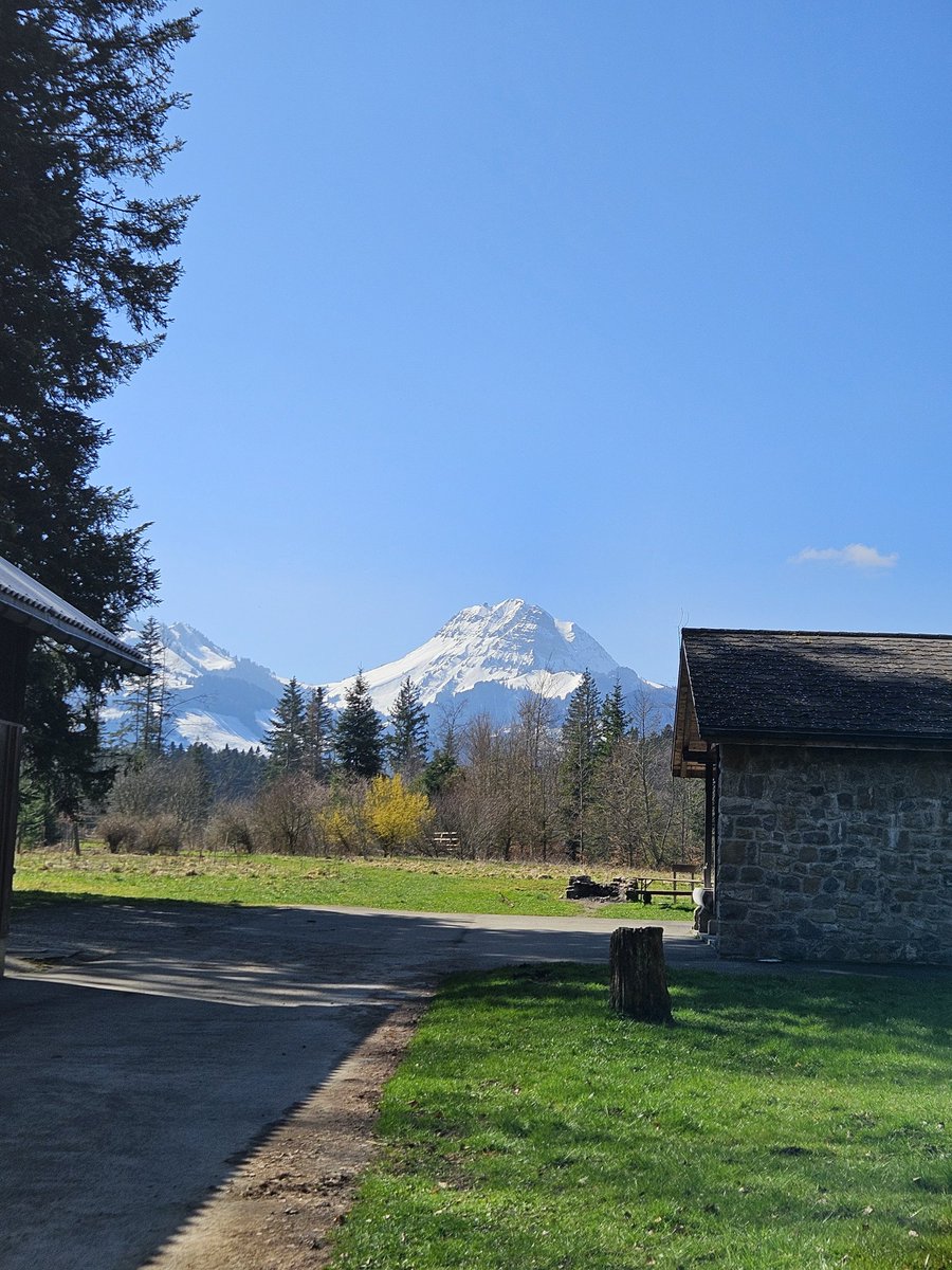 Nemo ❄ tweet media