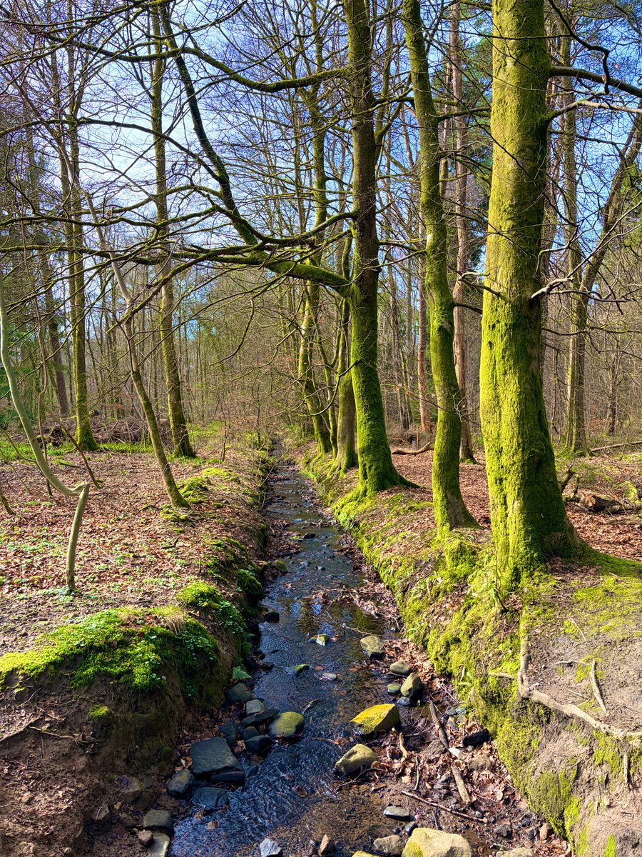 Andy travelingman tweet media