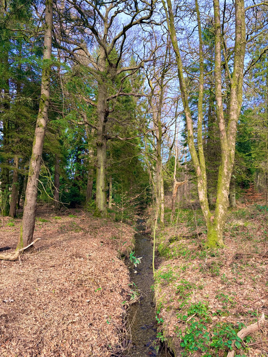 Andy travelingman tweet media