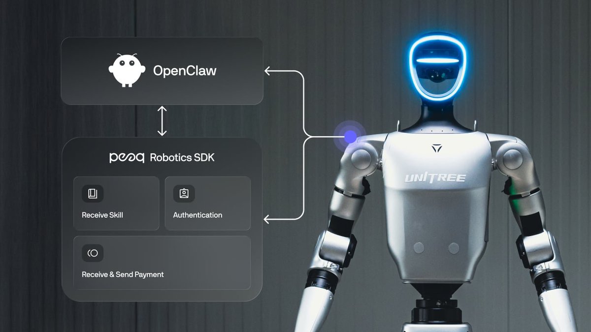 DeFi Oracle 🔮 tweet media