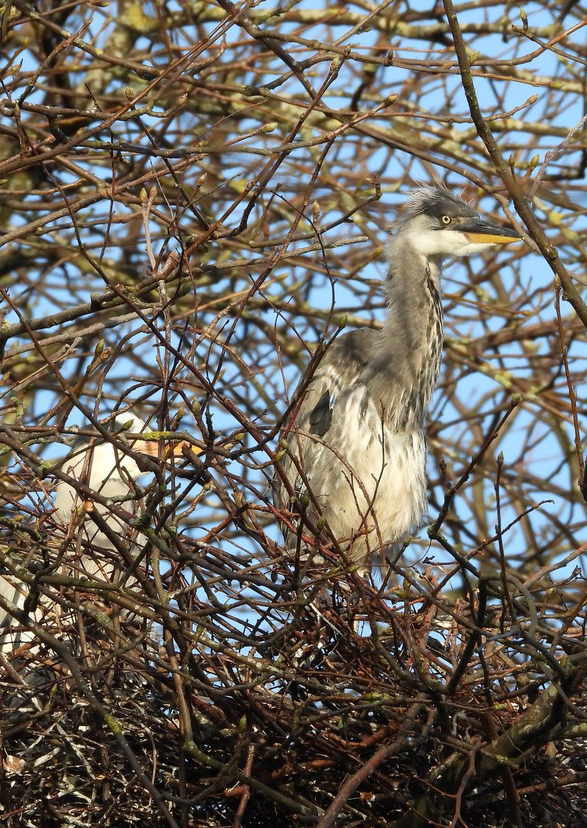 Bwarropics tweet media