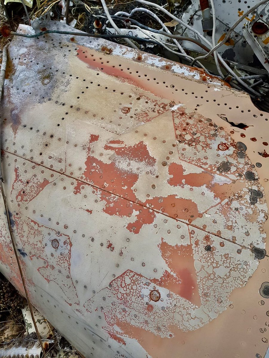 Juan Pablo Berlinger tweet media