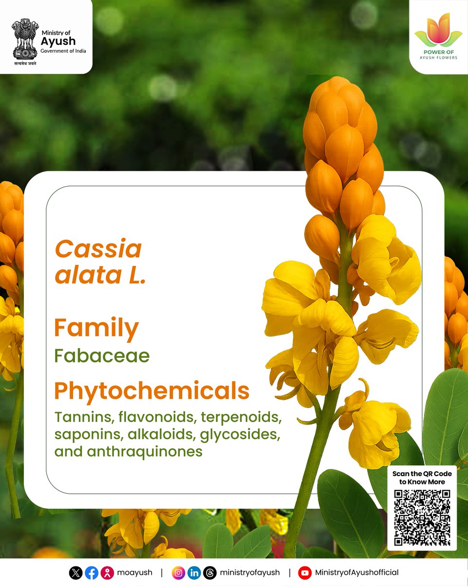 Ministry of Ayush tweet media