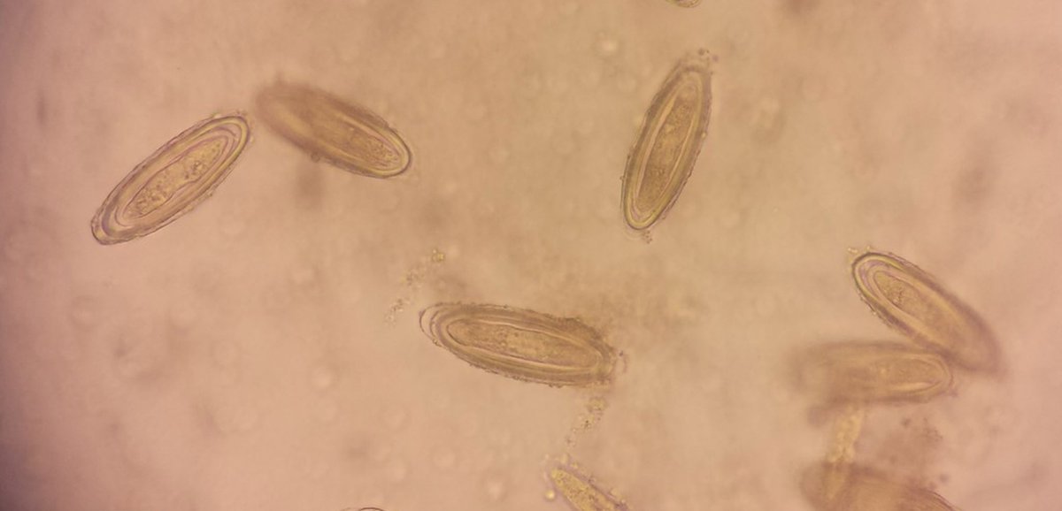 Facultad de Ciencias UCSC tweet media