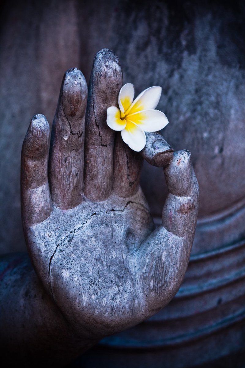 “The more you are focused on time—past and future—the more you miss the Now, the most precious thing there is."