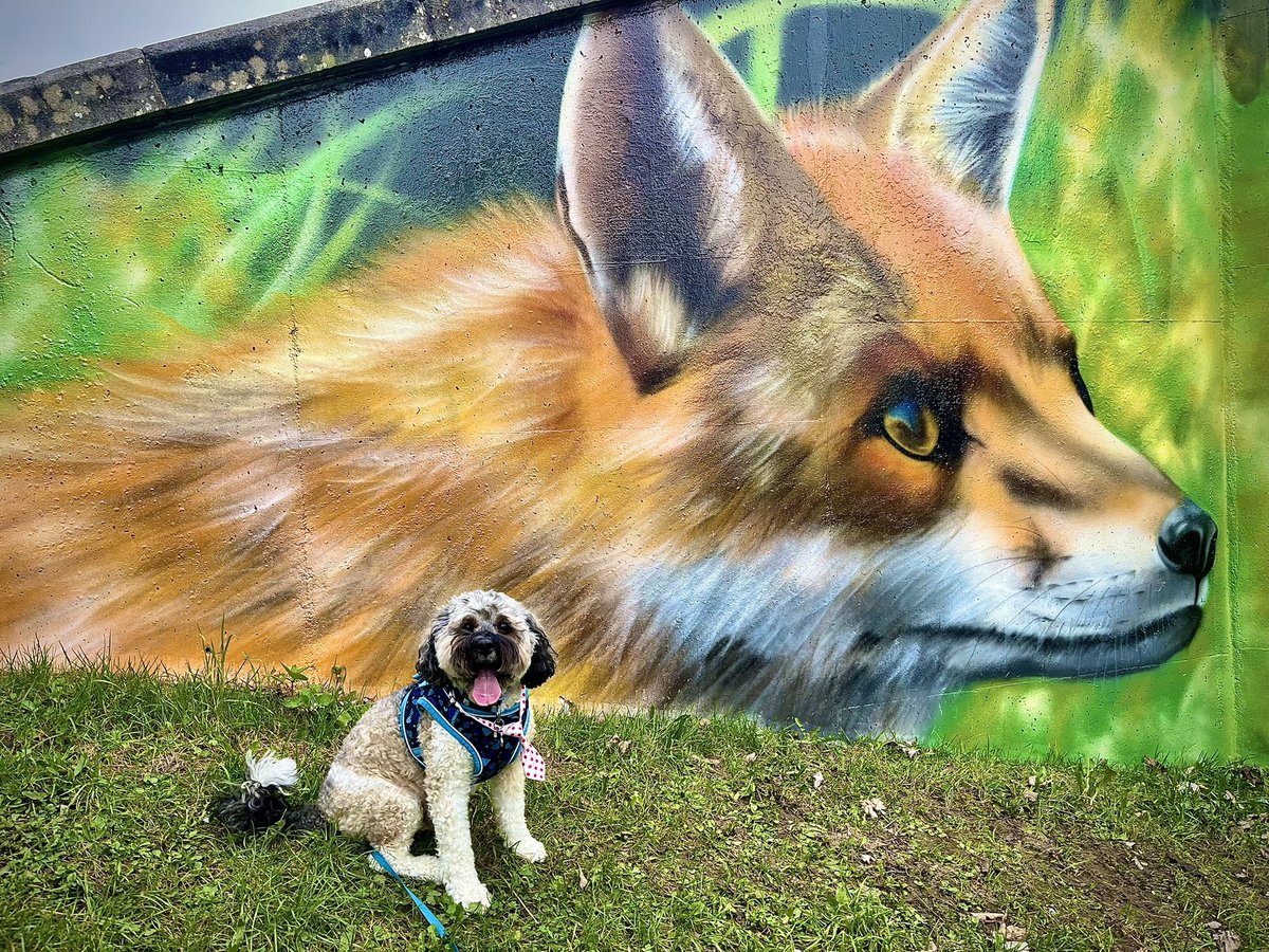 Malcolm & Baby Dog tweet media