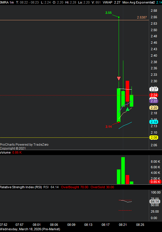 RanTrader's tweet photo. $BMRA, late fills but got small https://t.co/DMUuDowHZd