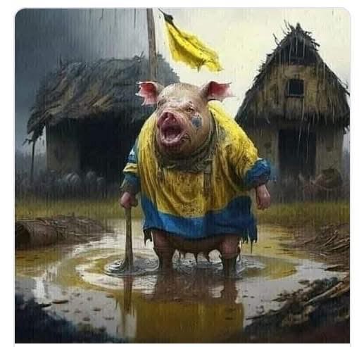 Igor Kiritchenko tweet media