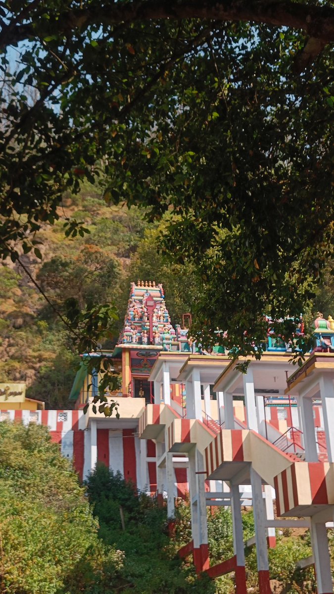 Vino_Ooty's tweet image. முருகன் அருள் கிடைச்சாச்சு 🫰🫰
ராஜா அலங்காரம் la பாக்கவே அவளோ அழகா இருந்தாரு ...
நல்ல தரிசனம் ...

Ooty Elk-Hill Murugan temple ....
.
.
#temple #devotional