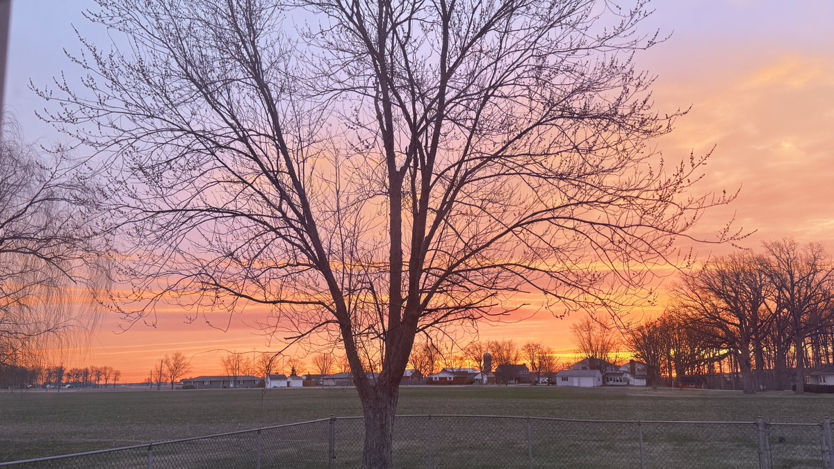 Michelle tweet media