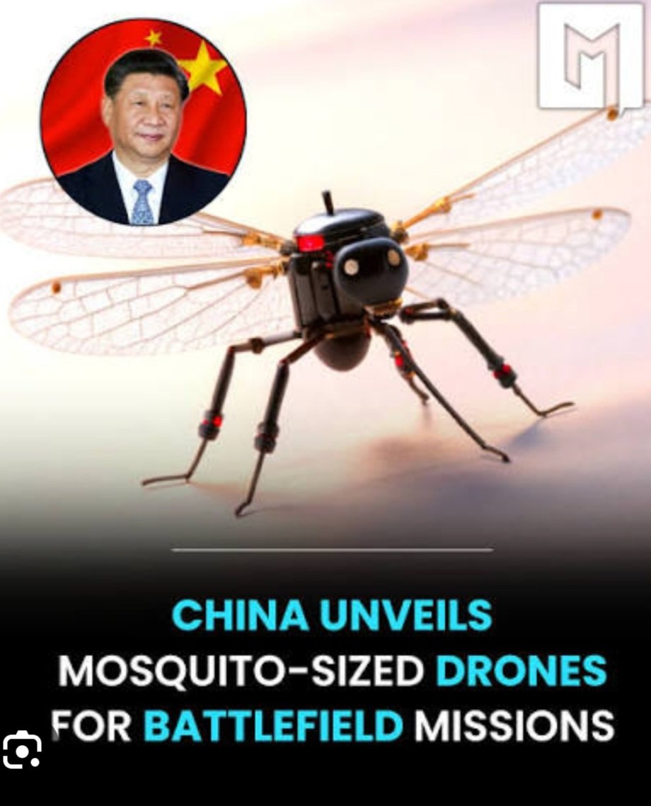 Hadyn Wood tweet media