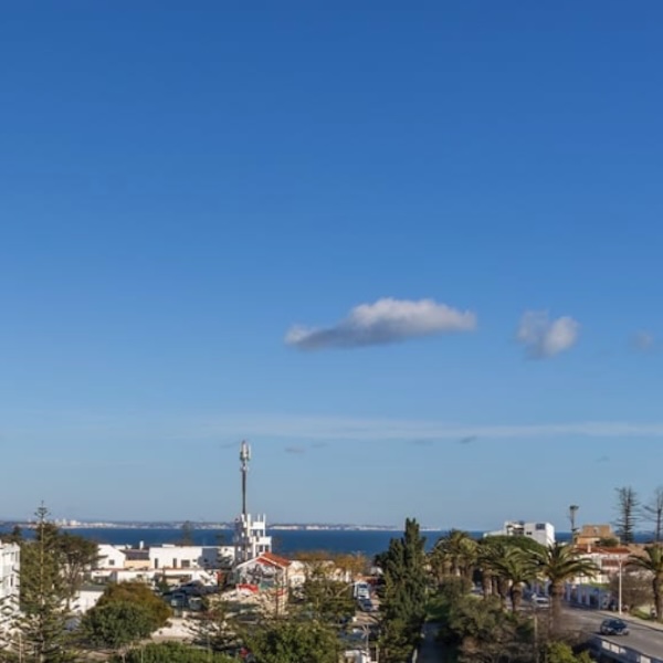 Algarve Daily News tweet media