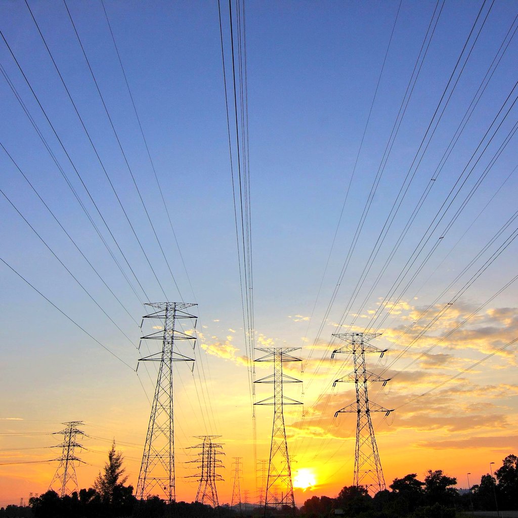 World of StatHistics tweet media