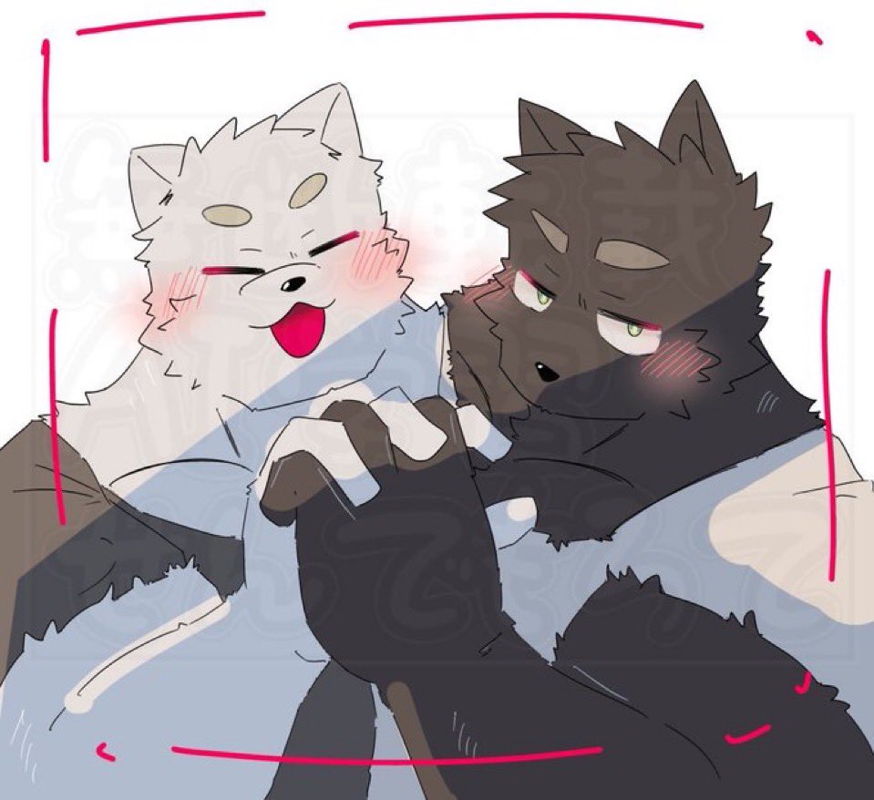 リシェア tweet media