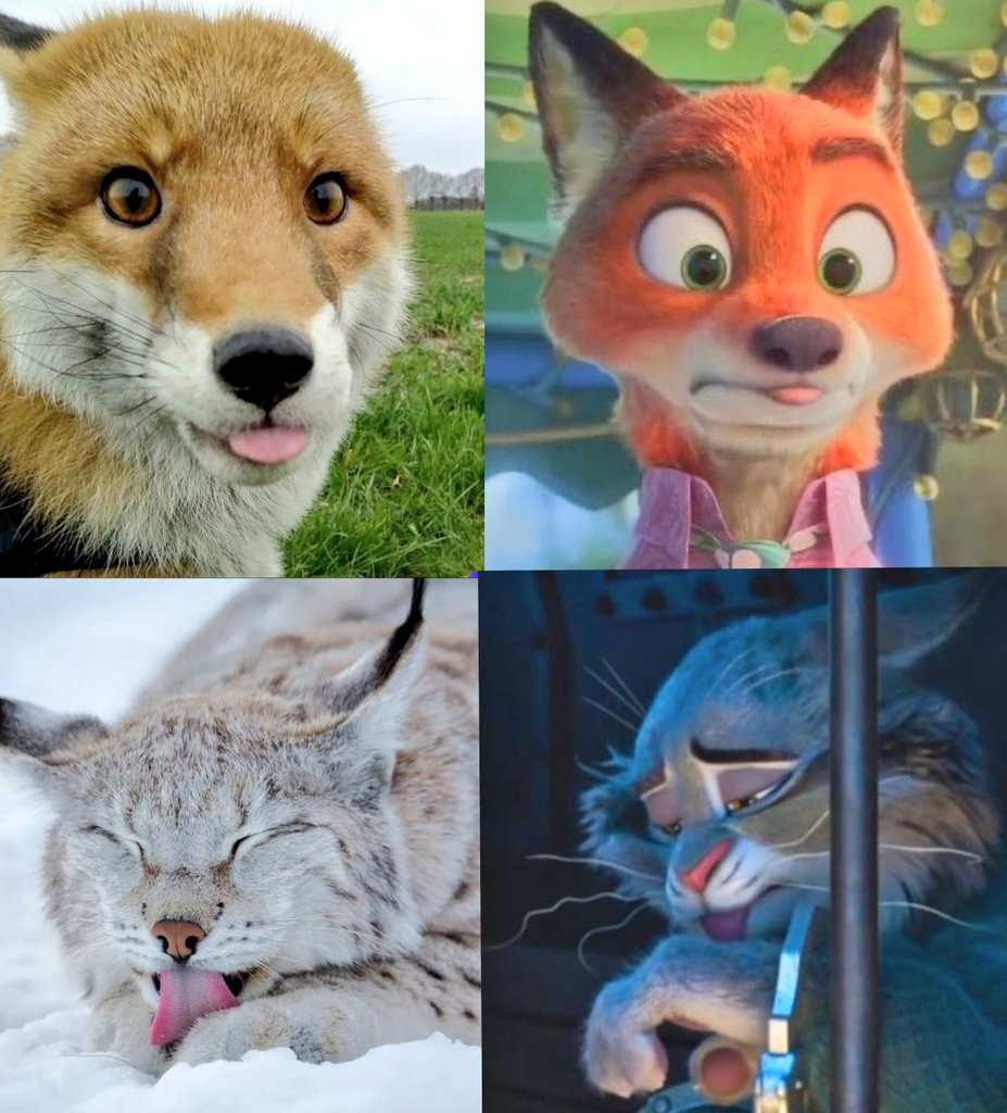 とめいSamuka🌺 tweet media