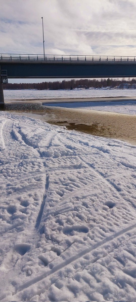 Mikael Olofsson tweet media