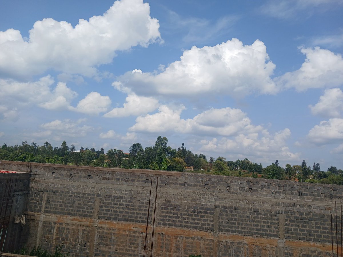 TalioOnChain tweet media